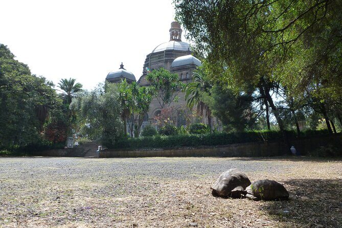 Hidden Treasures of Addis Ababa - Food, Culture and History Tour - Key highlights worth planning for