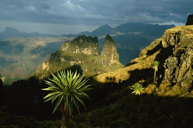 Historical-tour Lalibela Gonder & Bahir Dar - Bahir Dar and Lake Tana islands: monasteries plus real lakeside drama