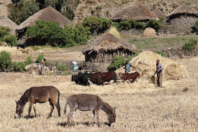 Lalibela 2-Day Eco Trekking Tour - Practical tips so you enjoy the hike (not just survive it)