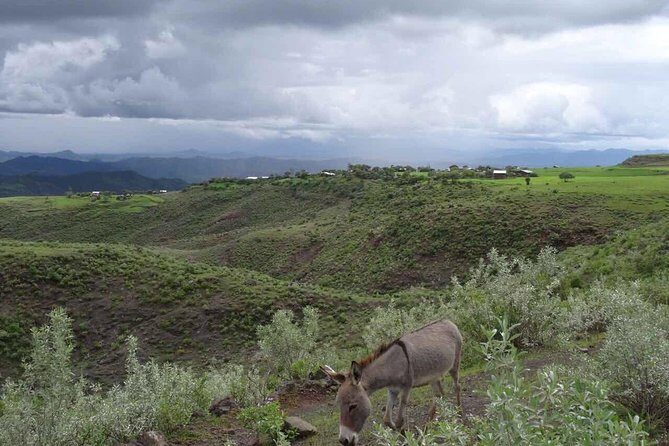 Lalibela churches Guided Tour - Sunset Moments, Coffee/Tea, and a Tij Bar With Music