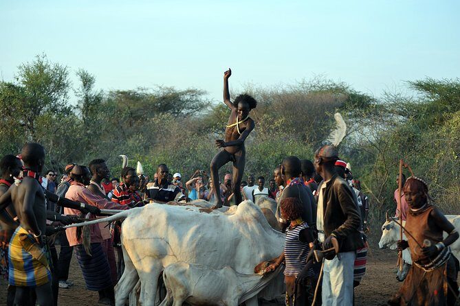 Omo Valley 5 Days - Price and value: what $1,153.85 buys you (and what it doesn’t)