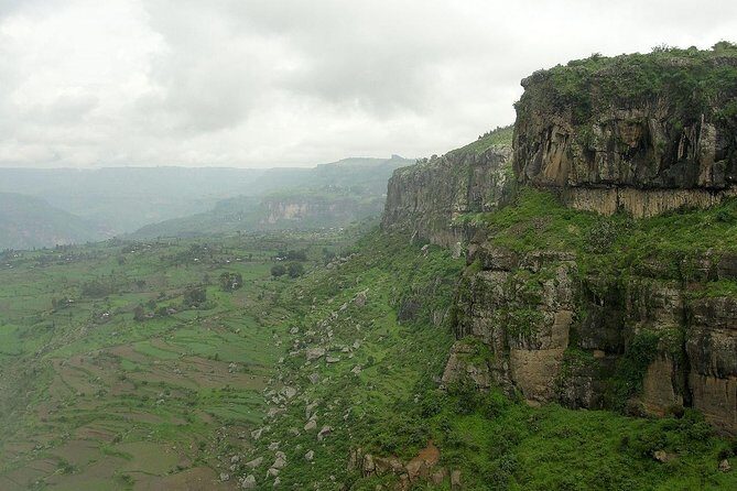 Private Day Trip to Debre Libanos Portuguese Bridge Galada Baboon - Mount Entoto: eucalyptus air and the view over Addis