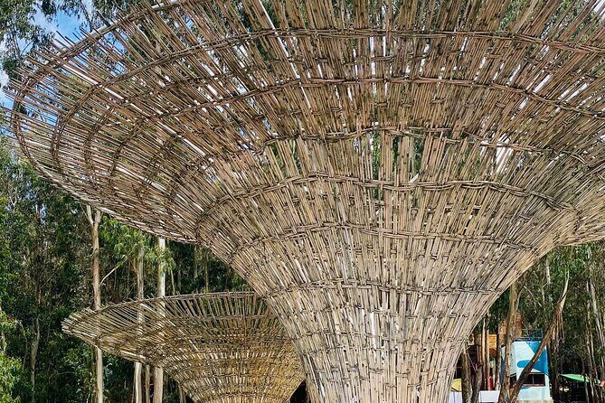 Private Half Day Guided tour in Addis Ababa New Flower - Private guide factor: Ashu’s flexible style