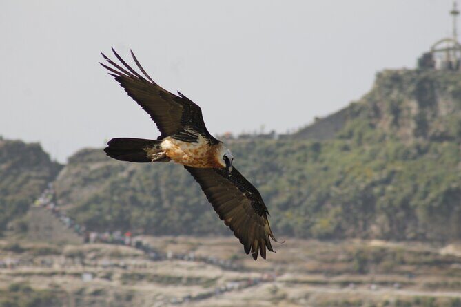 Rock Churches of Lalibela Guided Tour - Pickup at Lalibela Airport or your hotel: start without friction