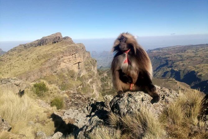 Simien Mountains Trekking Adventure - Key points that make this Simien trek feel well run