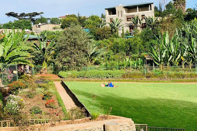 Walking Tour of Addis Abeba - Discover Addis the Authentic way - Price and Logistics: Does $70 Feel Fair?
